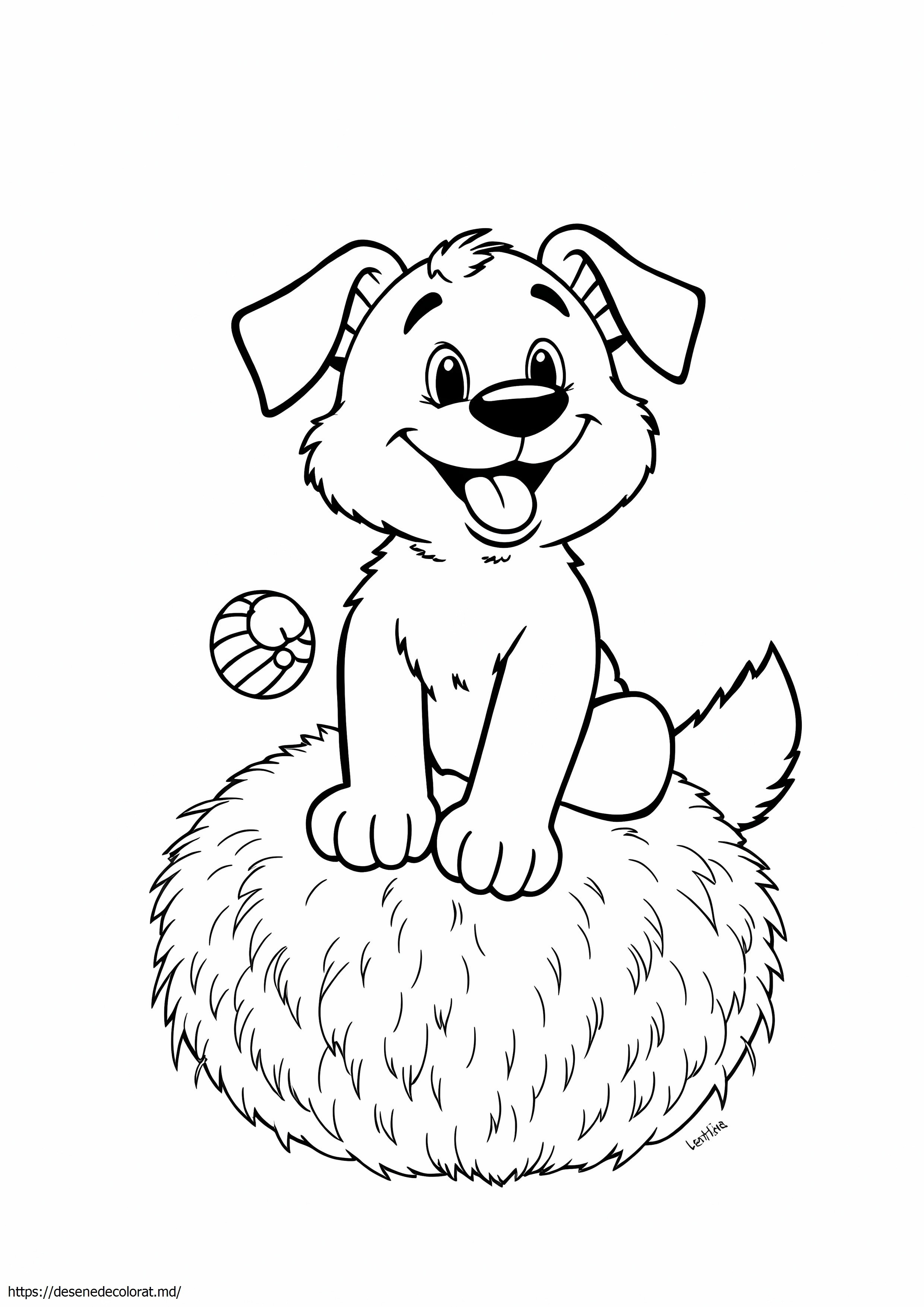 Pom pom bluey