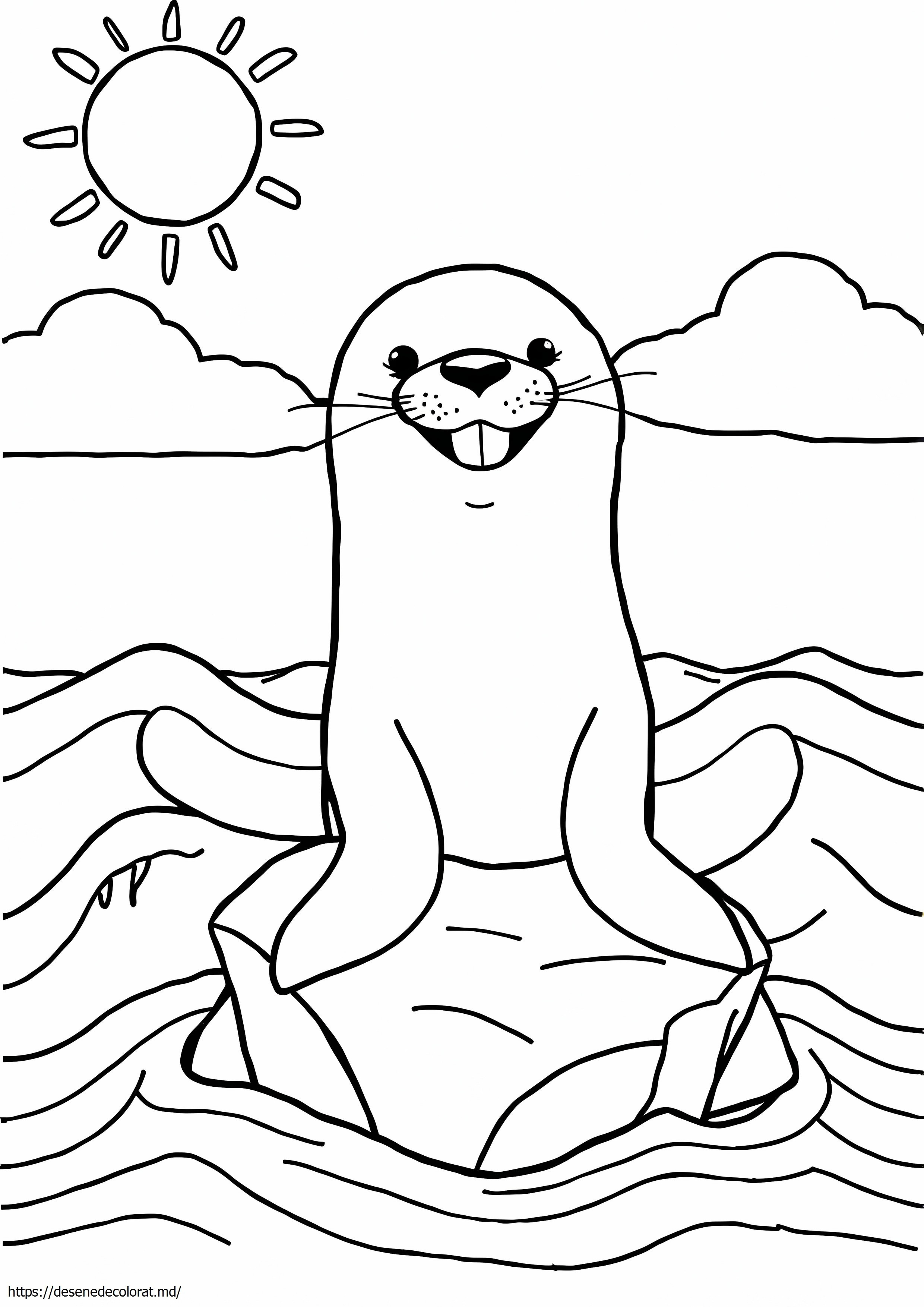 Leul de mare