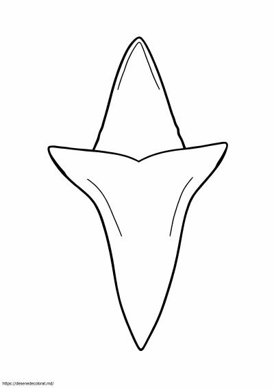 Dinte de rechin