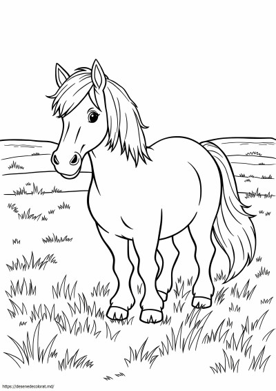 Calul ponei Shetland