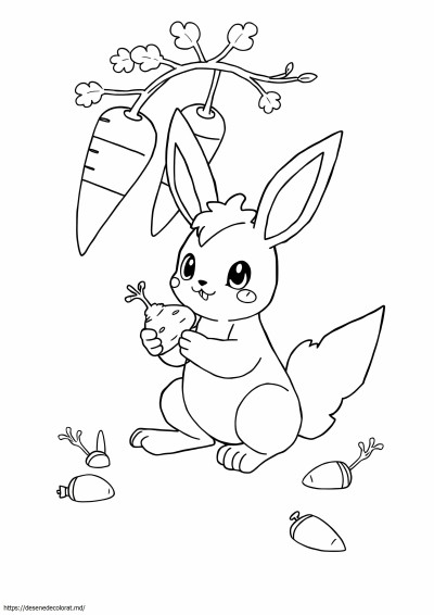 Pokemon raboot