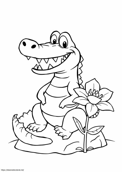 Crocodil prost