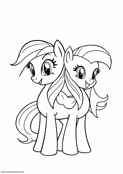 Rainbow dash fluttershy micul meu ponei