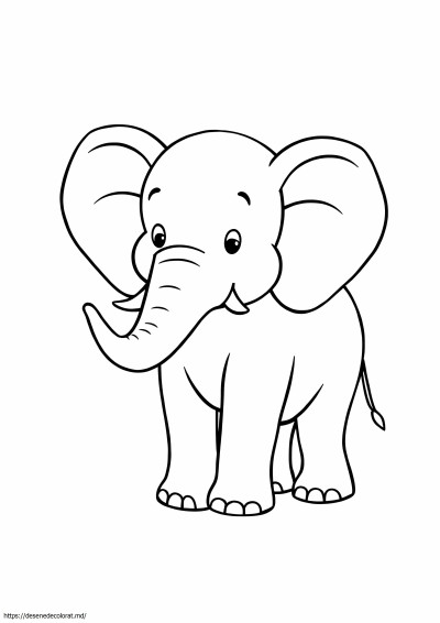 Elefant simplu