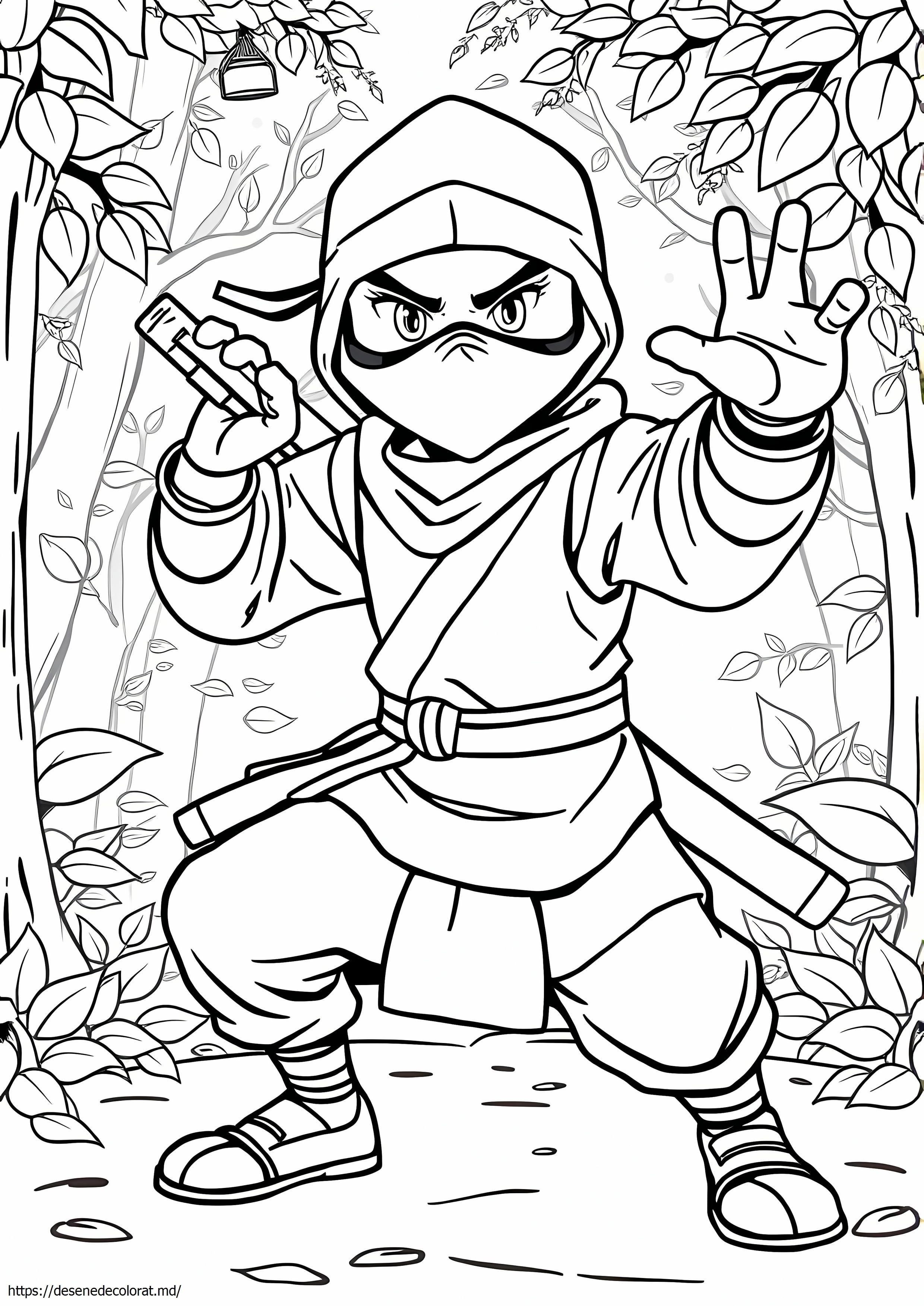 Ninja realist