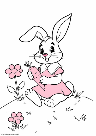 Rebecca rabbit