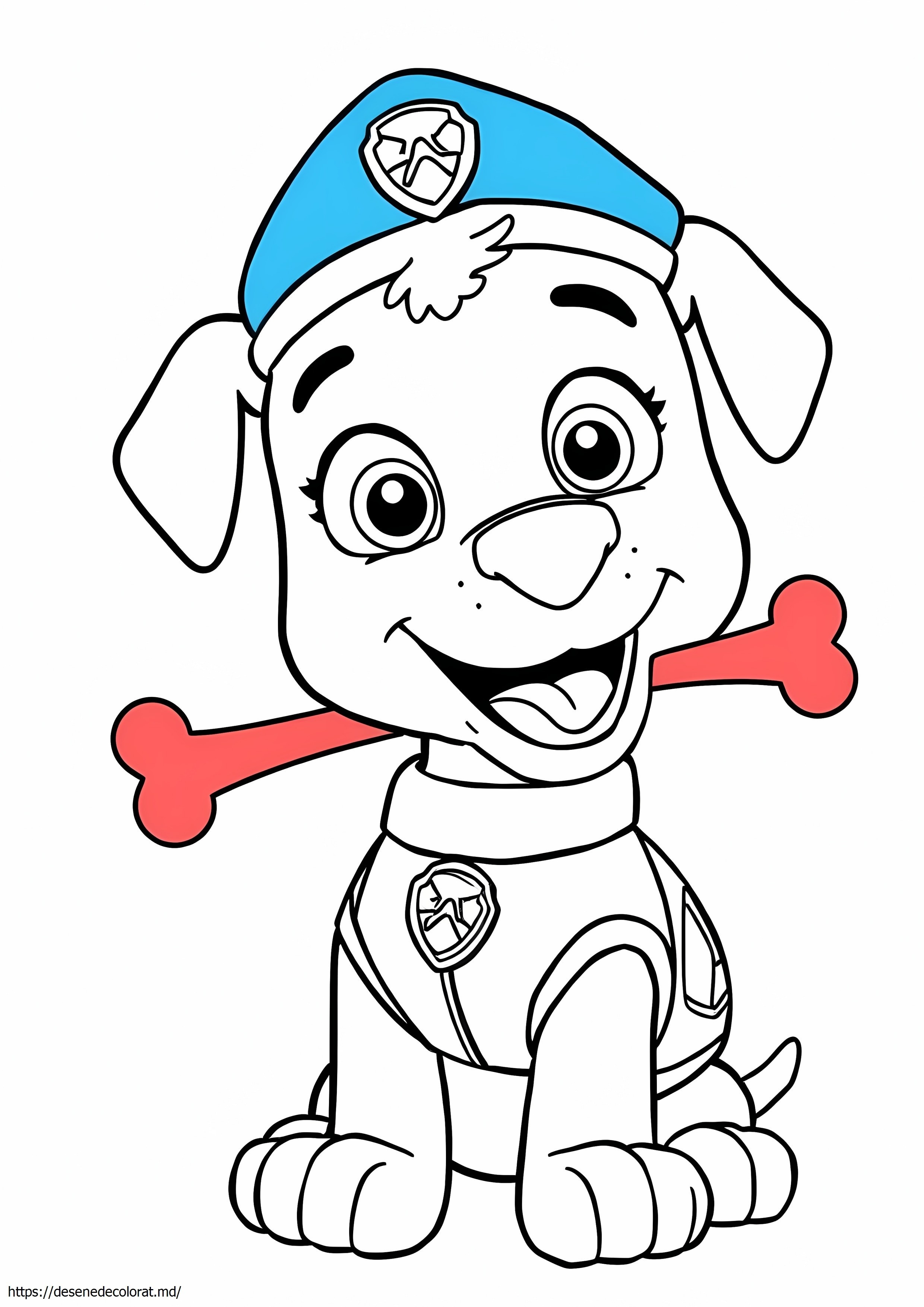 Patrula laba rex