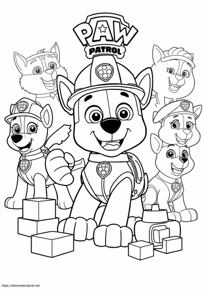 Rocky paw patrol