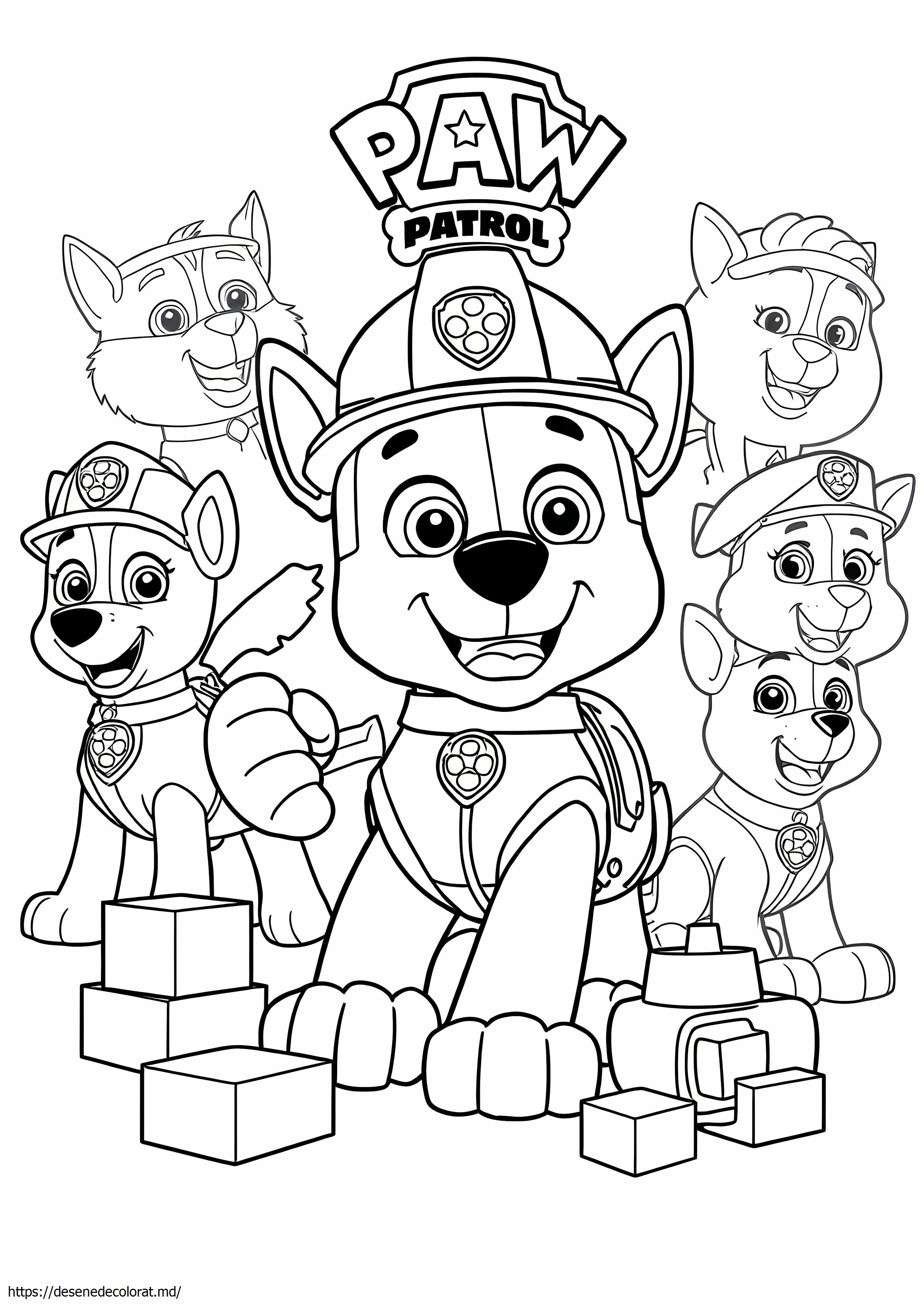 Rocky paw patrol