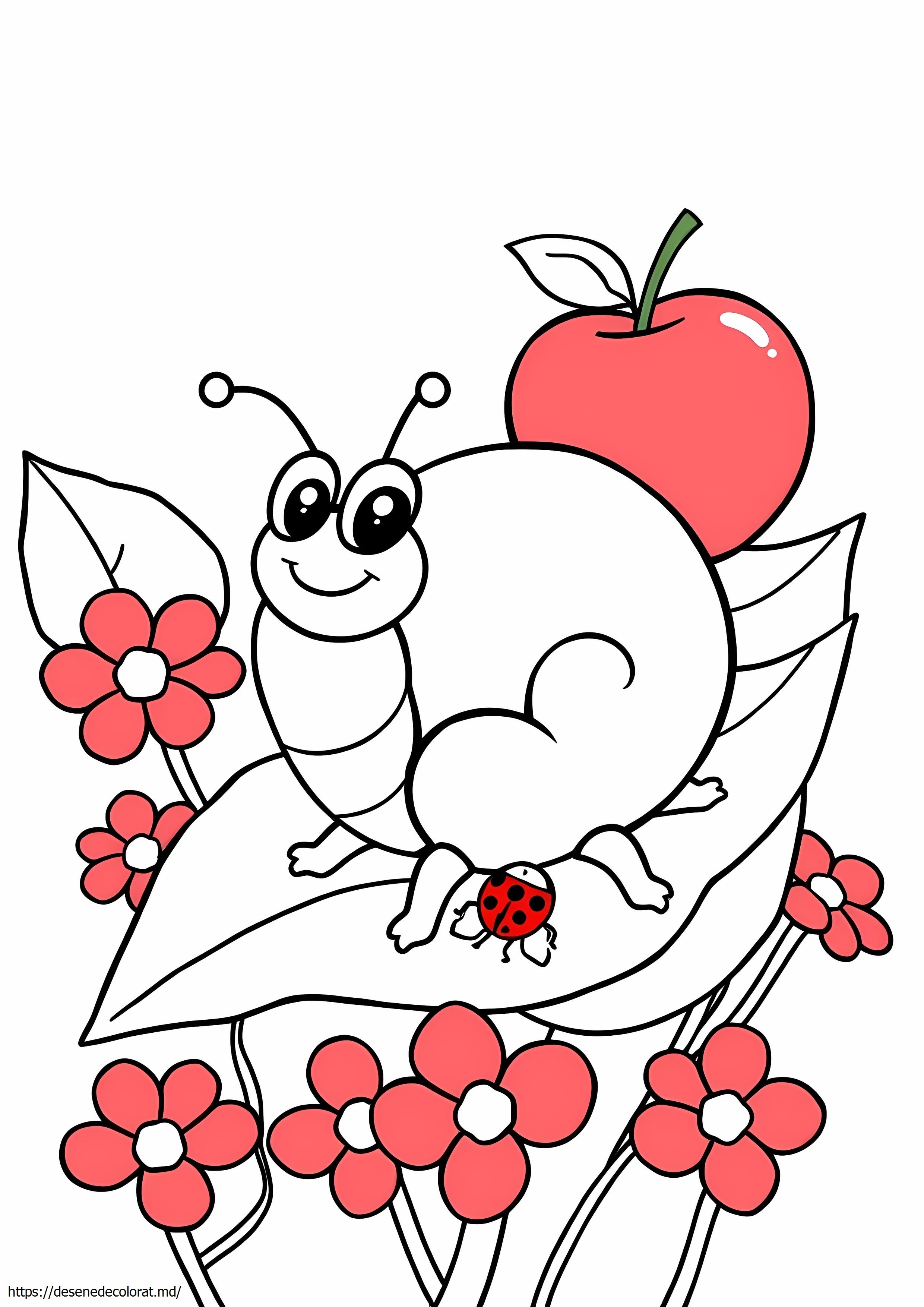 Rollie pollie ollie