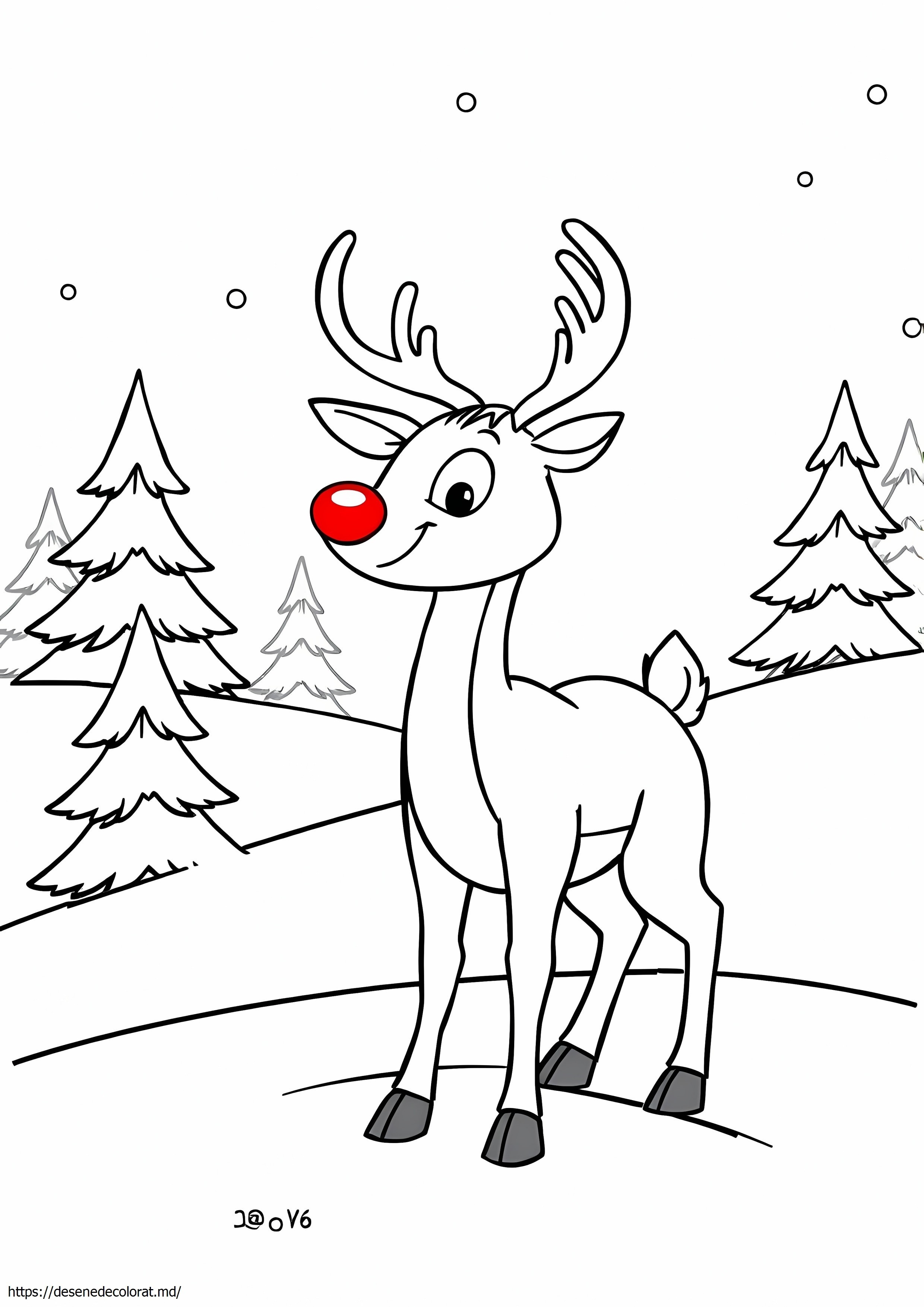 Rudolph
