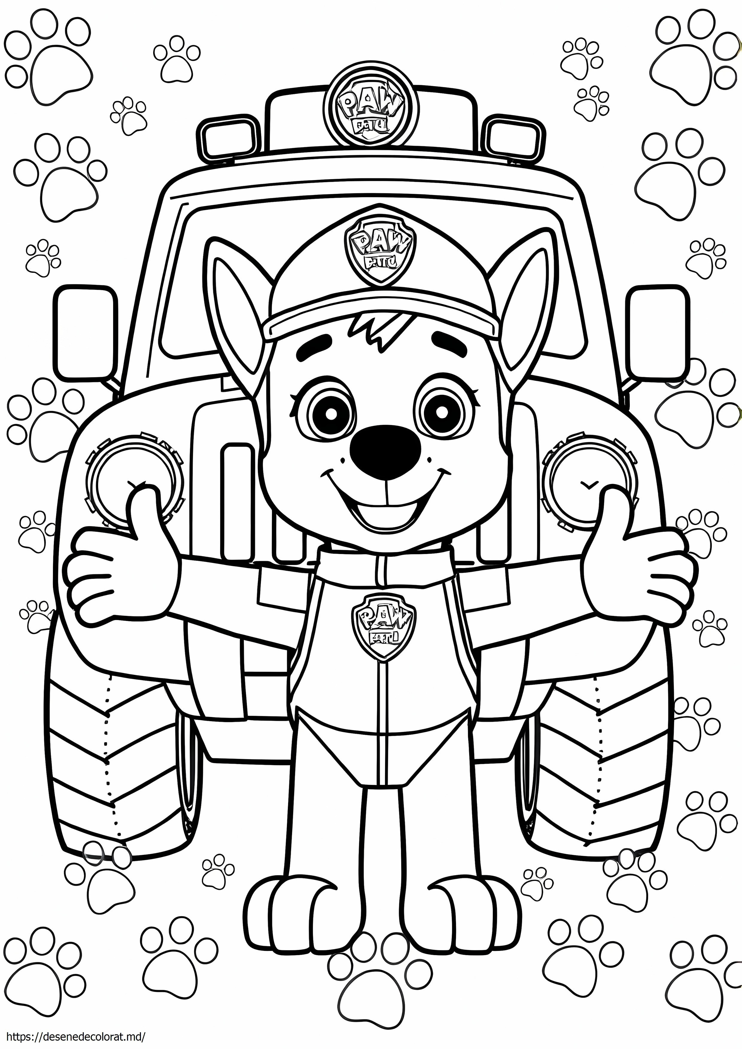 Ryder paw patrol