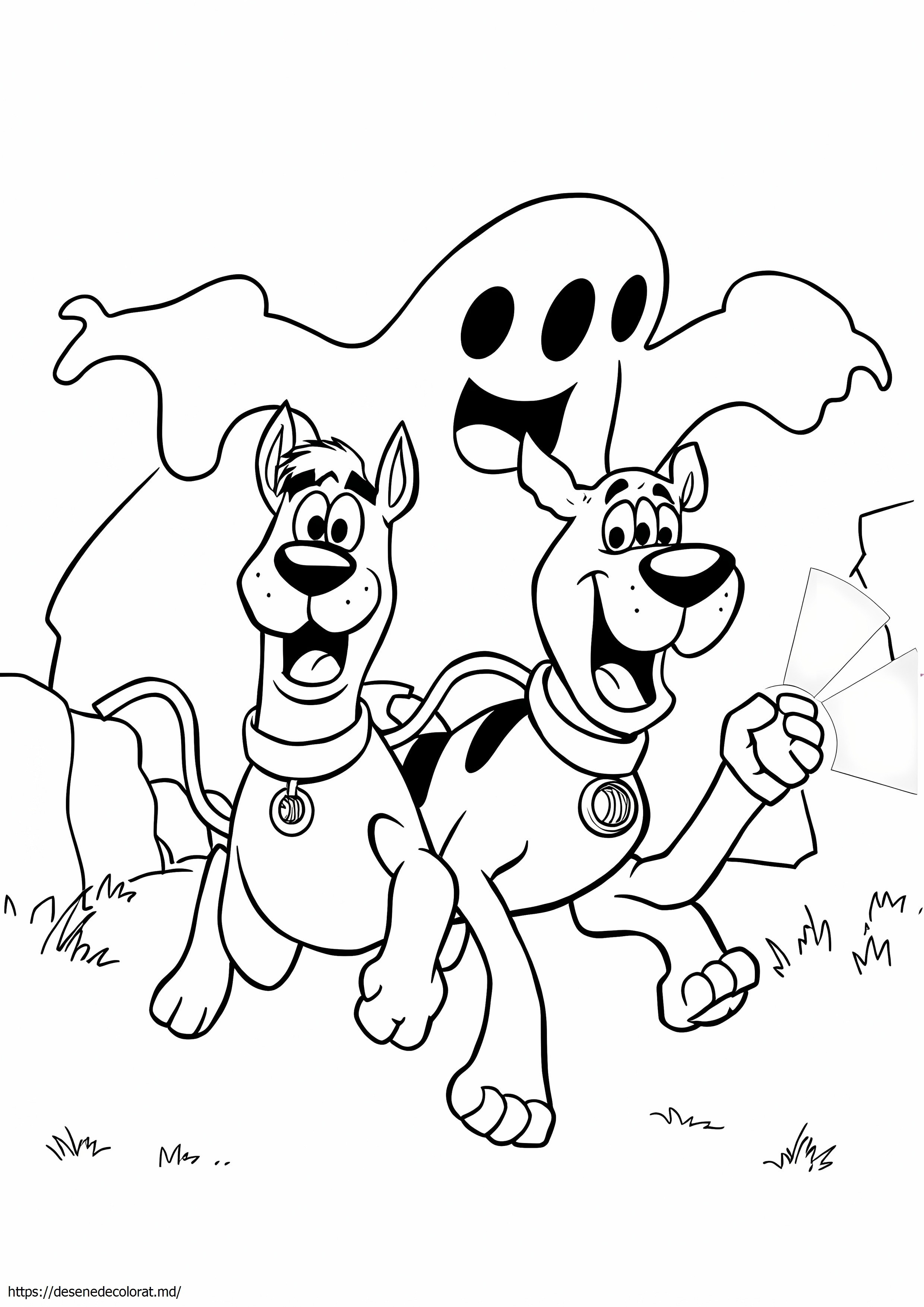 Scooby doo și shaggy