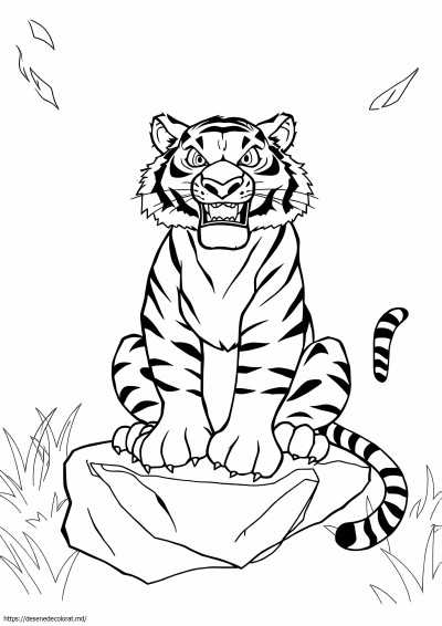 Shere khan