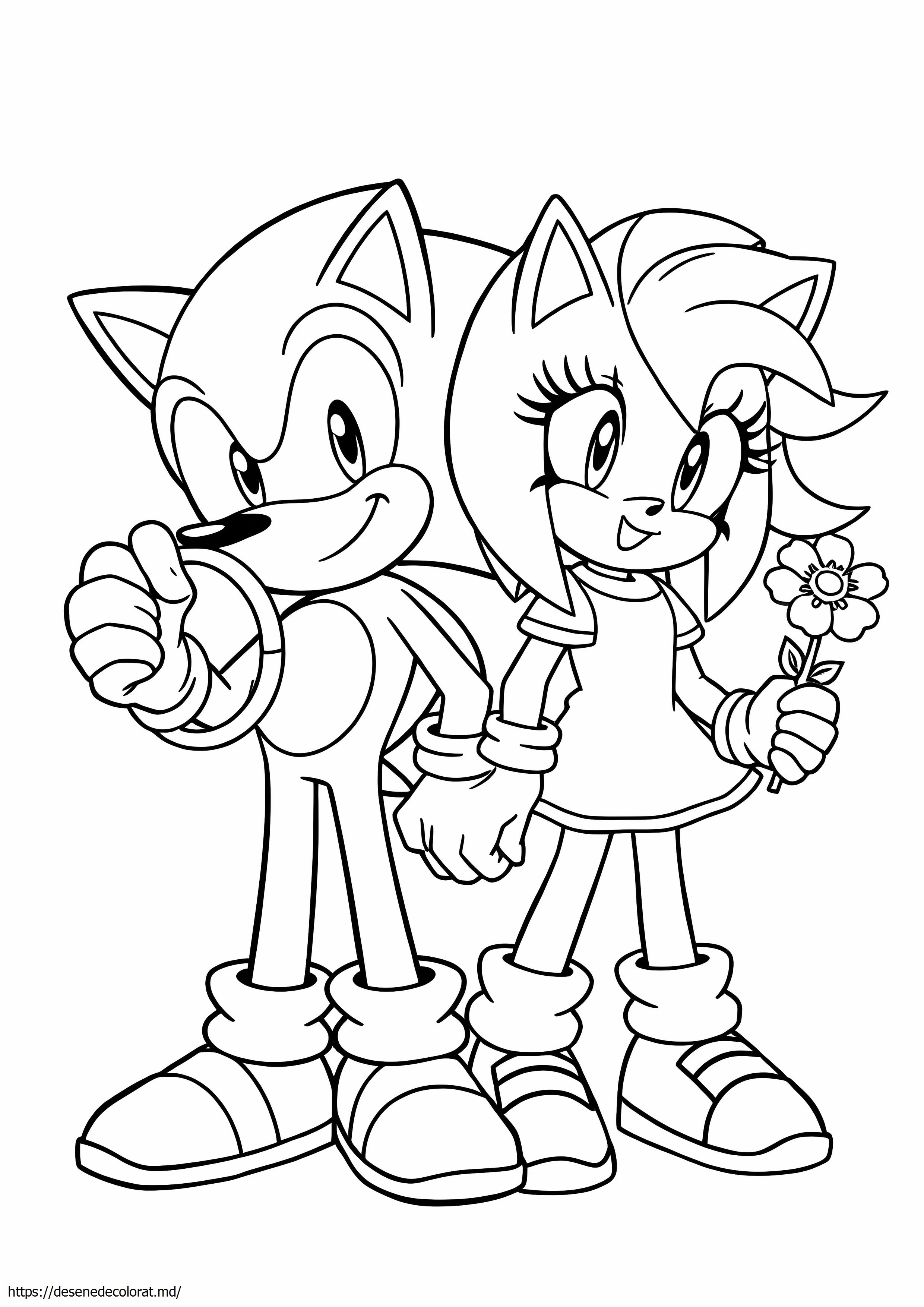 Sonic amy