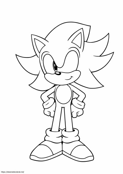 Sonic nouă cozi