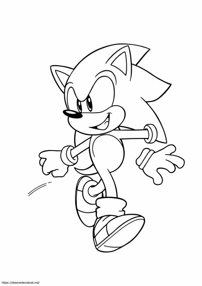 Sonic the headgehog