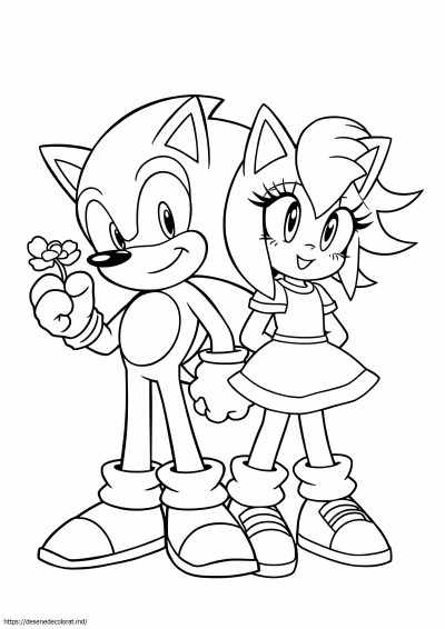 Ariciul sonic amy rose