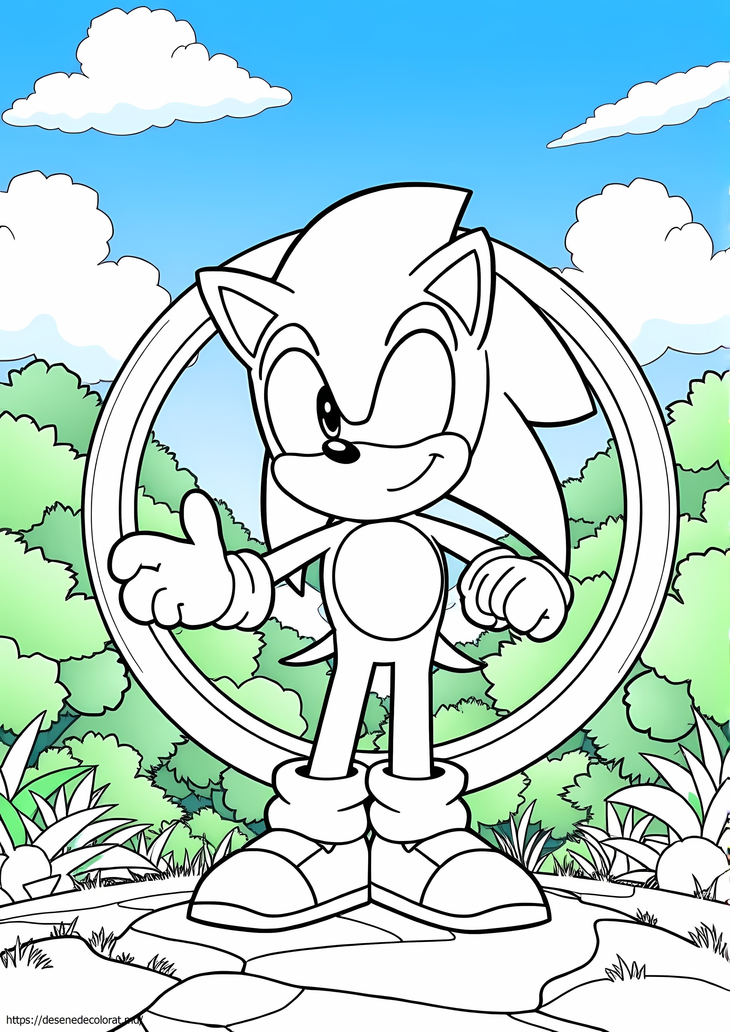 Ariciul sonic