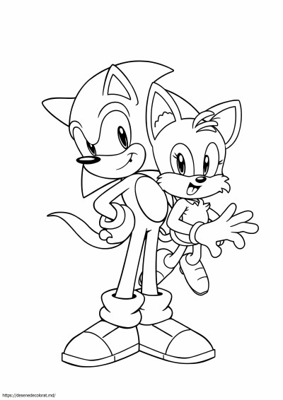 Sonic ariciul și cozile