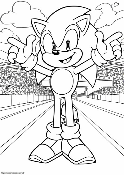 Ariciul sonic