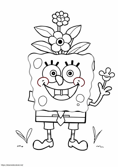Flori de bob buretele