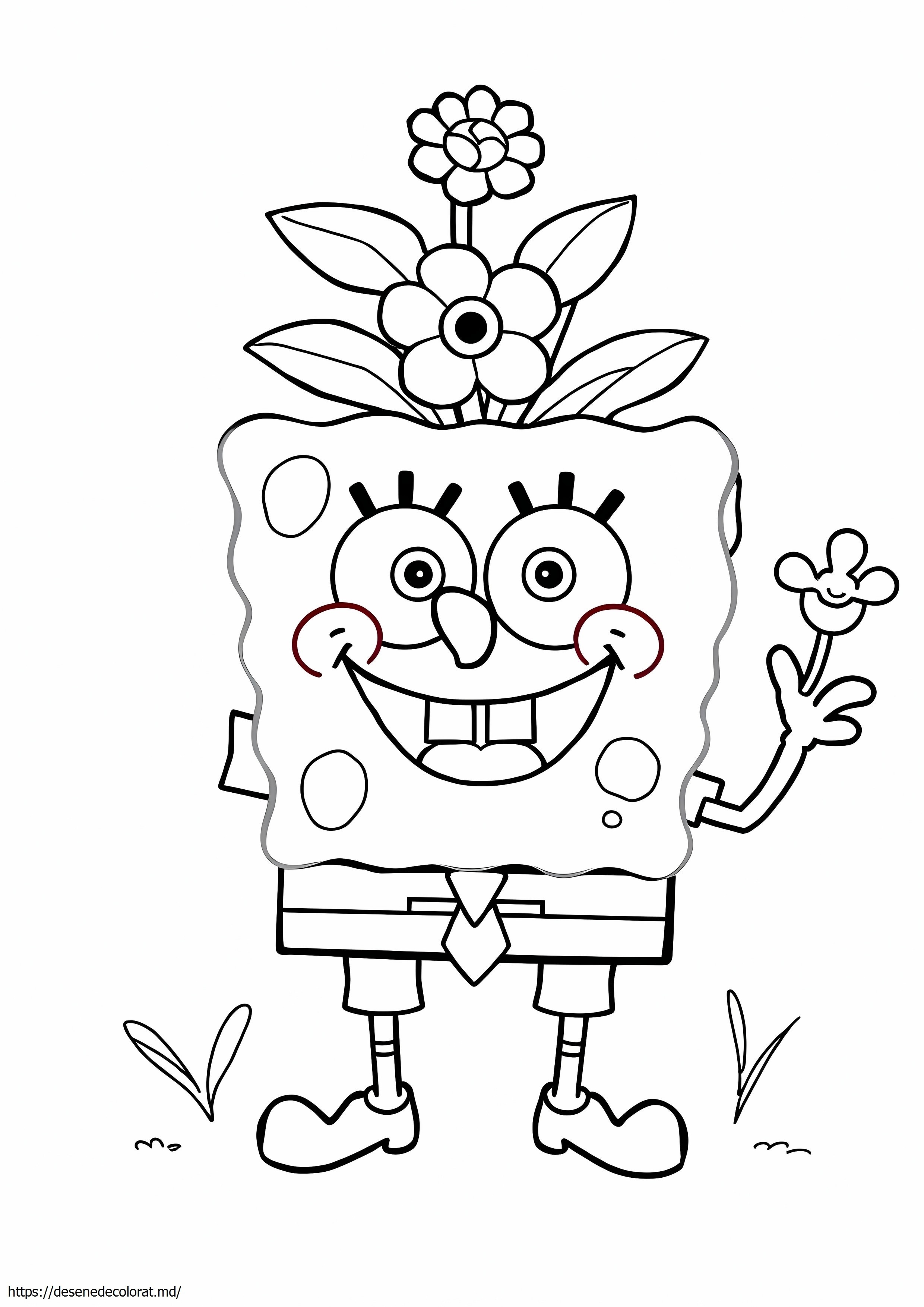 Flori de bob buretele