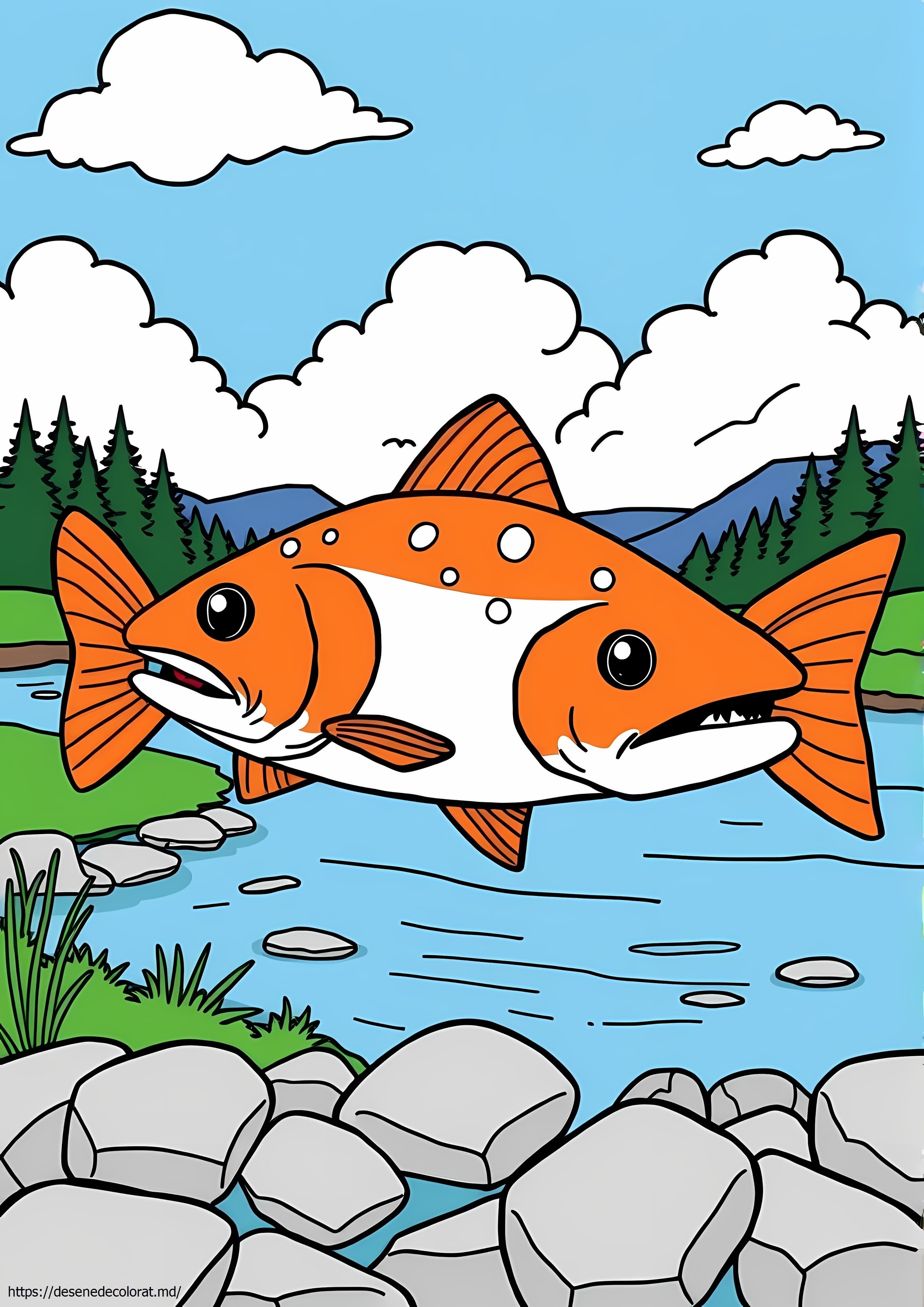 Somon sockeye