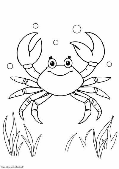 Crab-păianjen