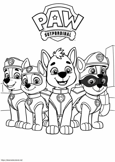 Super Chase Paw Patrol