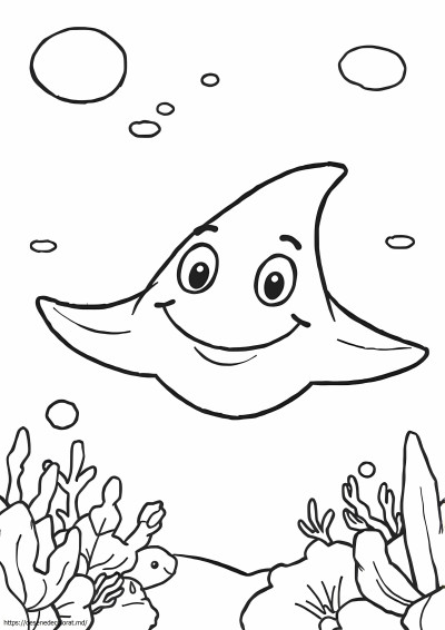 Stingray