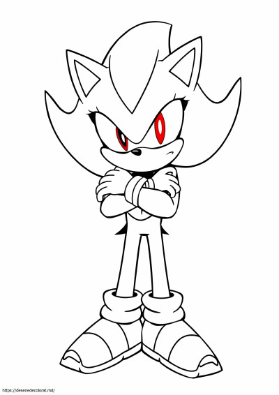 Super shadow sonic