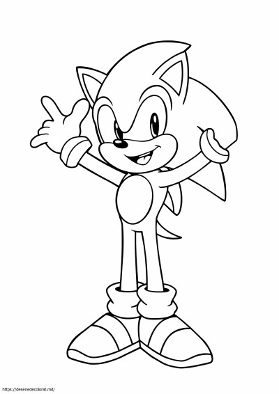 Super sonic ariciul