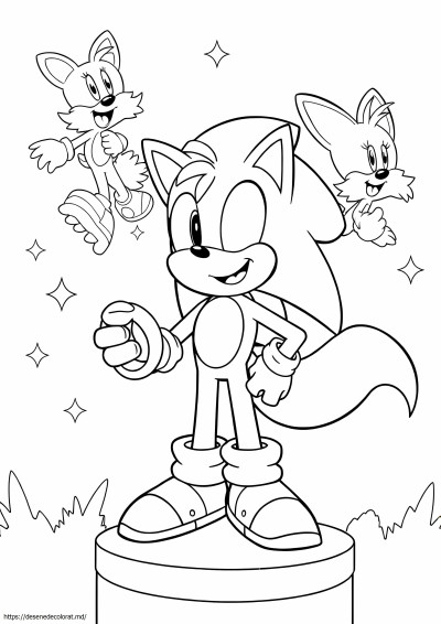 Cozi de la sonic