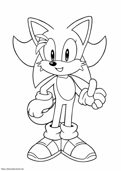 Cozi sonic ariciul
