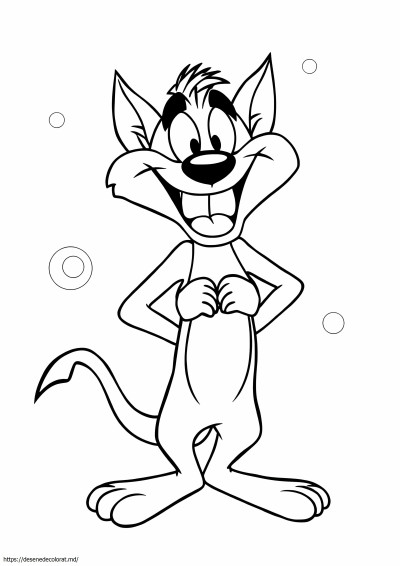 Taz