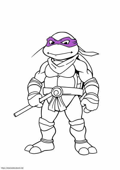 Teenage mutant ninja turtles donatello