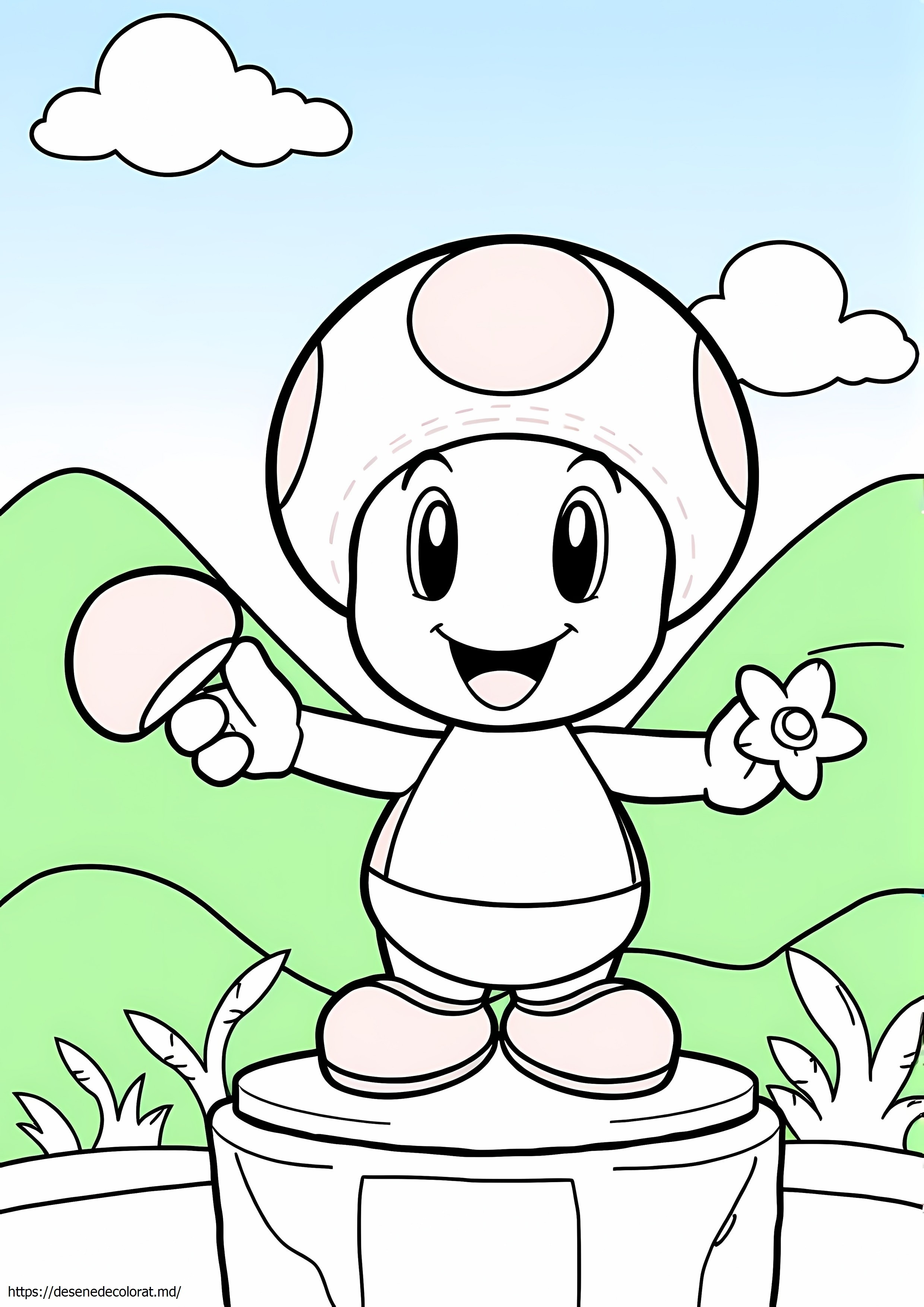 Broasca de la Mario