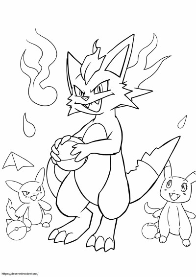 Pokemon torracat