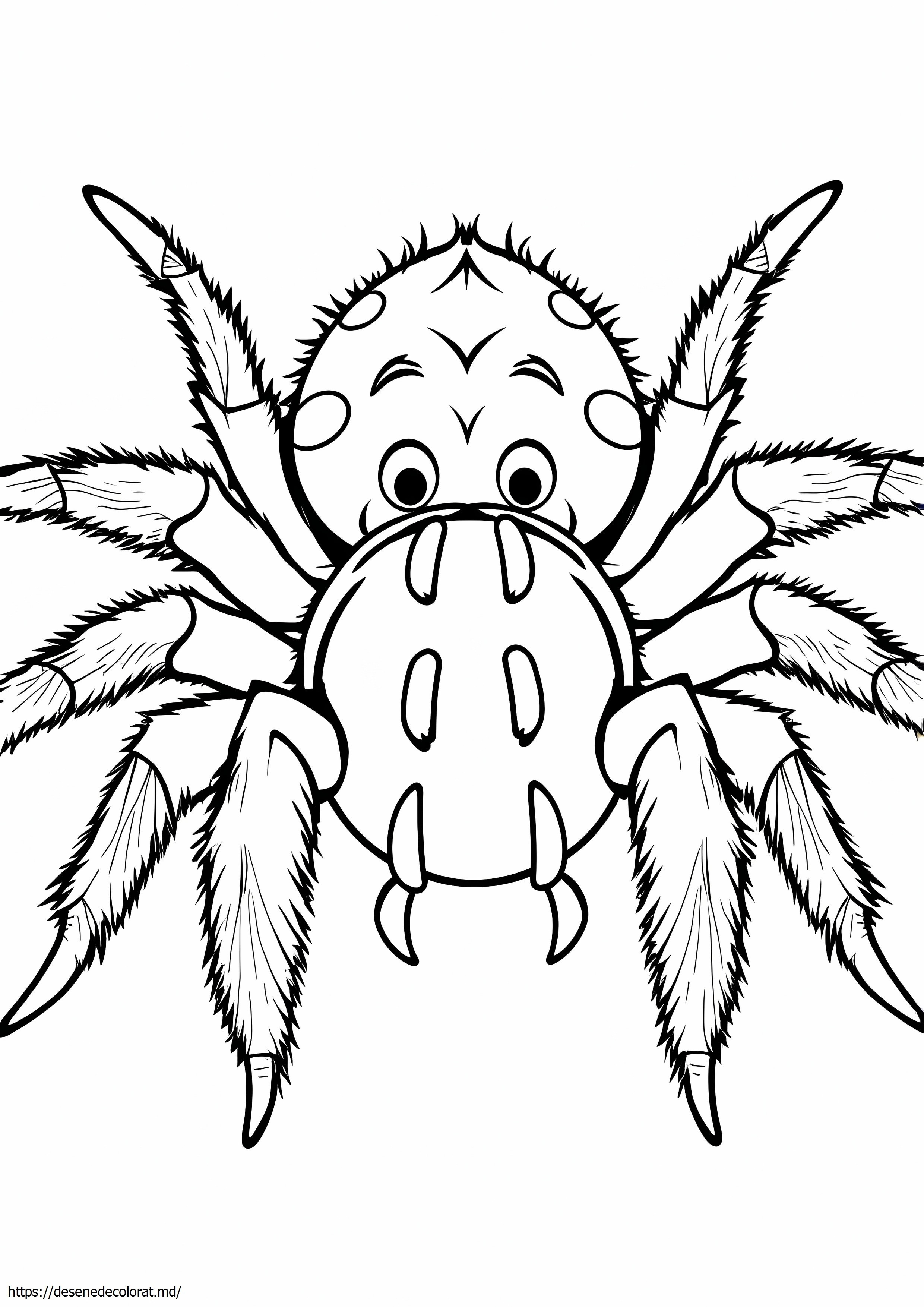 Tarantula