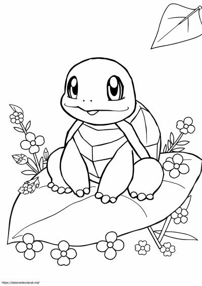 Pokemon broasca testoasa
