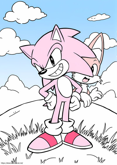 Vs sonic tails exe