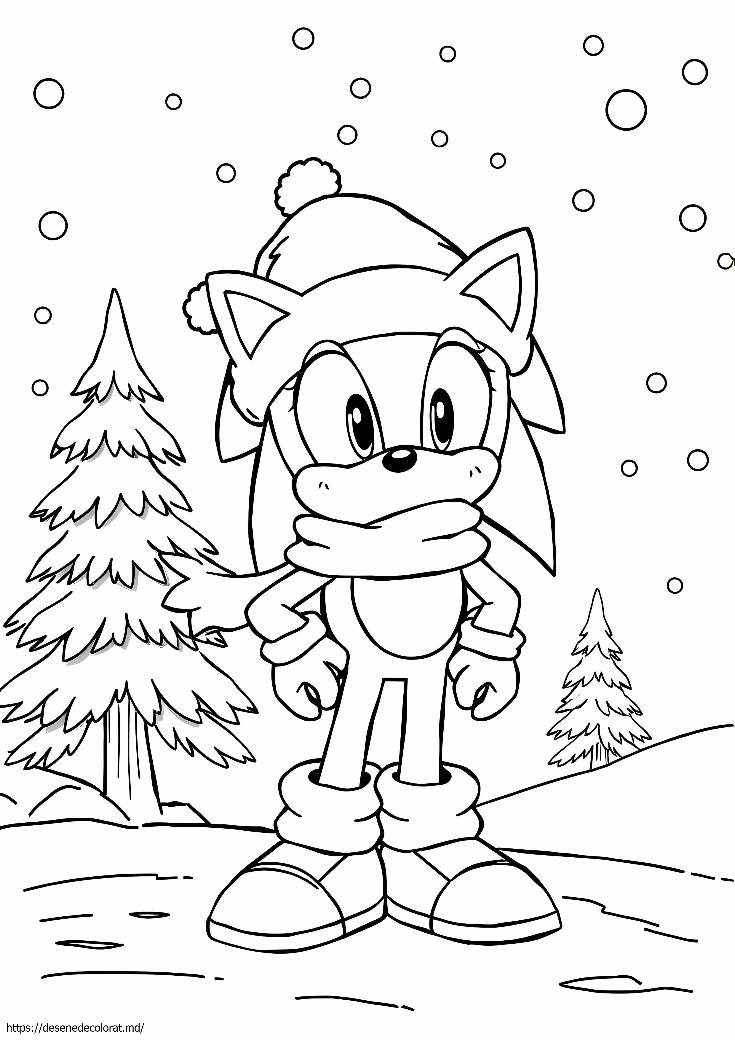 Sonic de iarnă