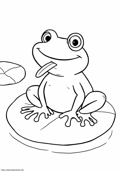 Broască râioasă