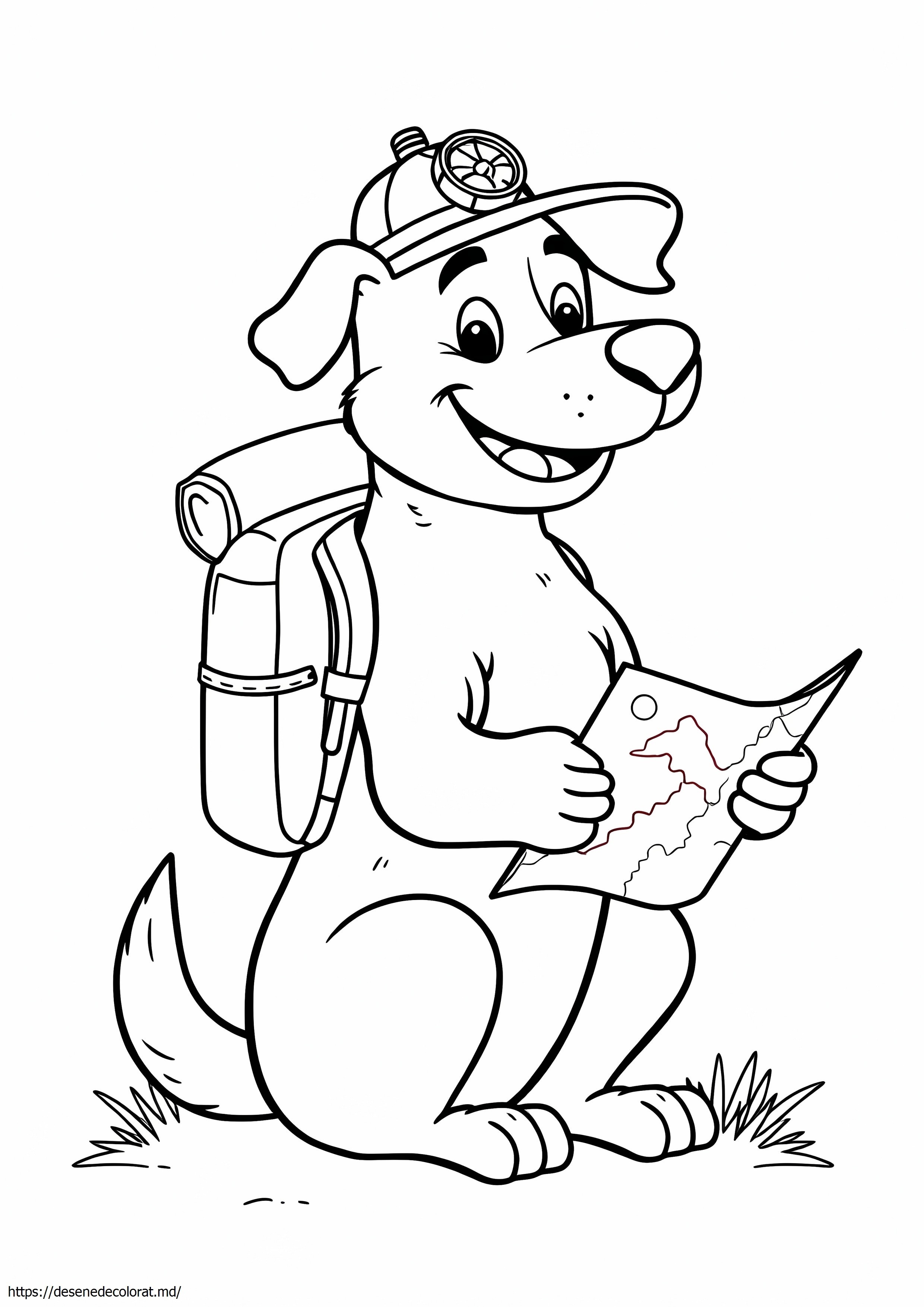 Tracker