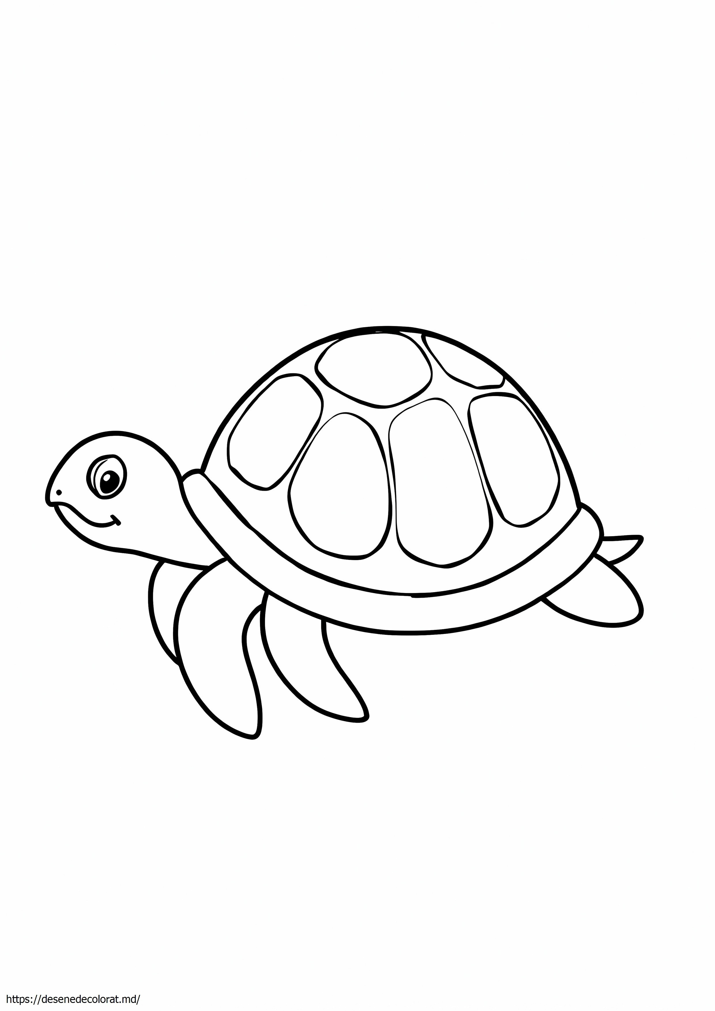 Tortuga