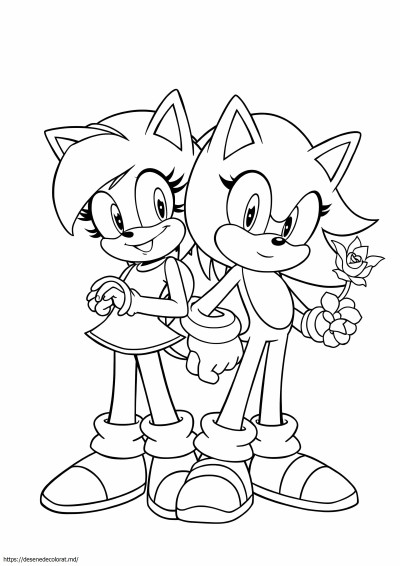 Amy rose și sonic