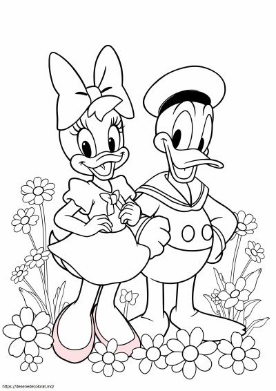 Margaretă și rață Donald