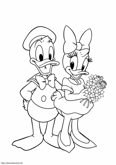 Rață margaretă donald