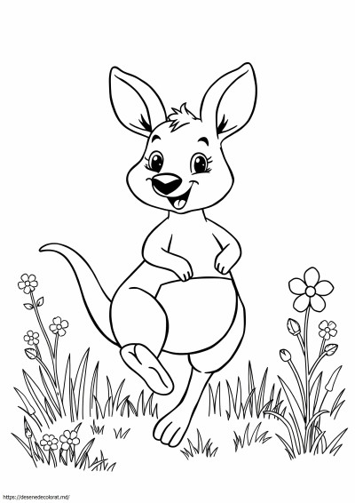 Wallaby